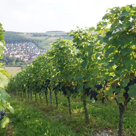 Krone Hotel Tauberrettersheim